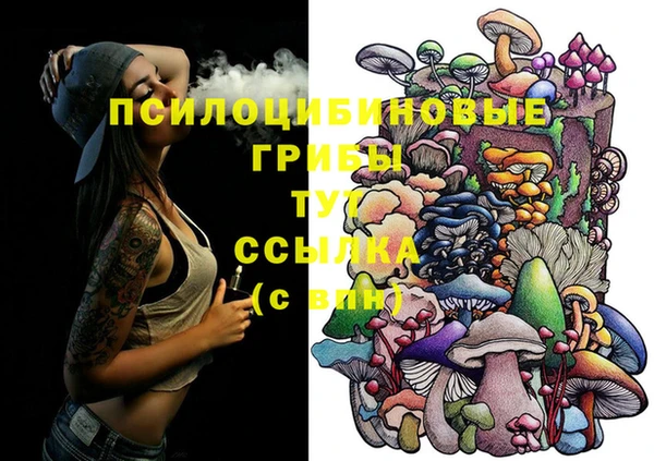 мяу мяу мука Новозыбков