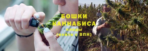 эйфоретик Новодвинск