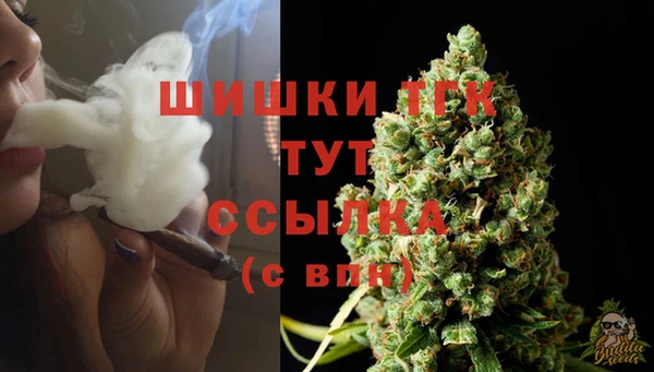 мяу мяу мука Новозыбков