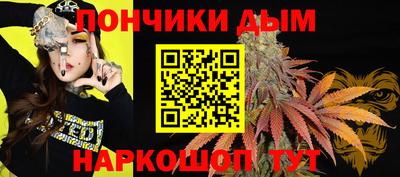 скорость Бийск