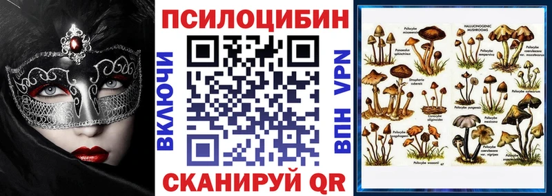 Галлюциногенные грибы Cubensis  сколько стоит  Великий Новгород 