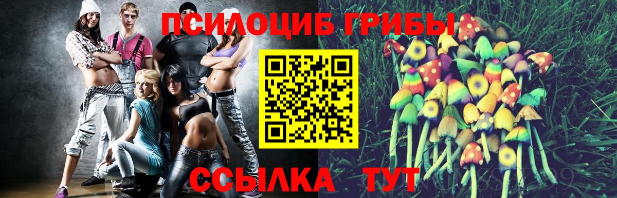 Галлюциногенные грибы Magic Shrooms  закладки  Великий Новгород 