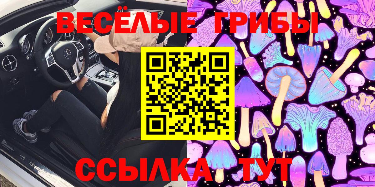 Псилоцибиновые грибы Magic Shrooms Великий Новгород