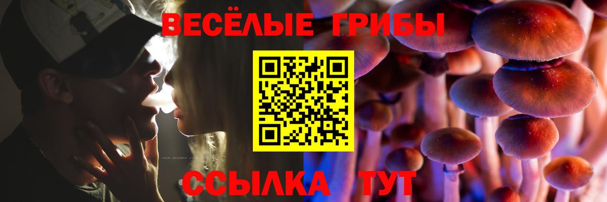 Галлюциногенные грибы прущие грибы  Вход с VPN  Великий Новгород 